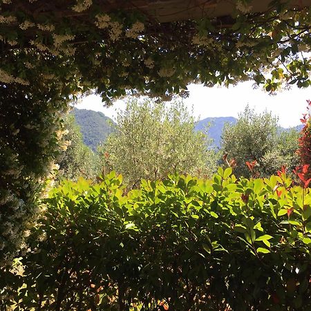 Agriturismo Tenuta La Fratta Guest House Bagni di Lucca Exterior photo