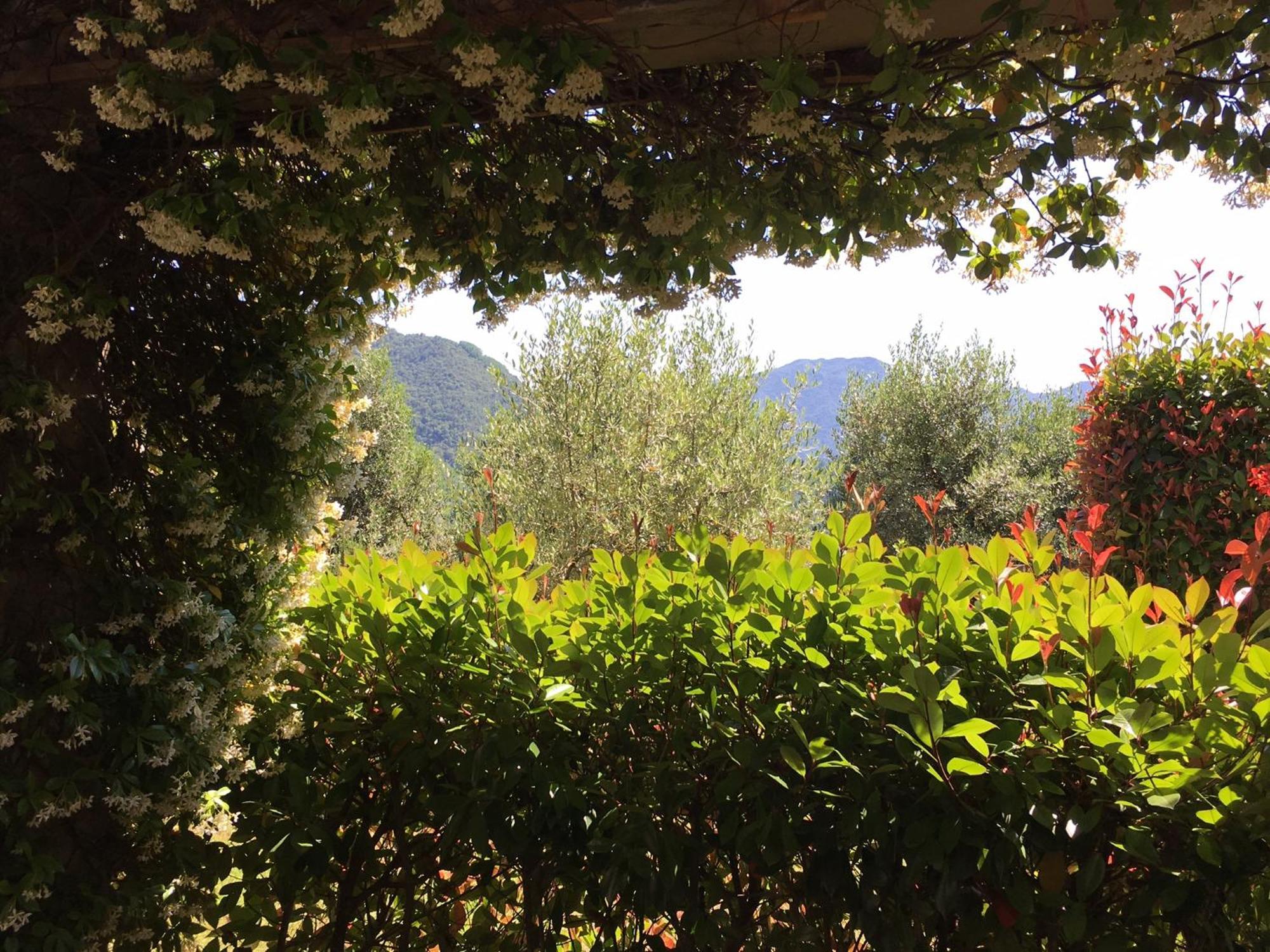 Agriturismo Tenuta La Fratta Guest House Bagni di Lucca Exterior photo