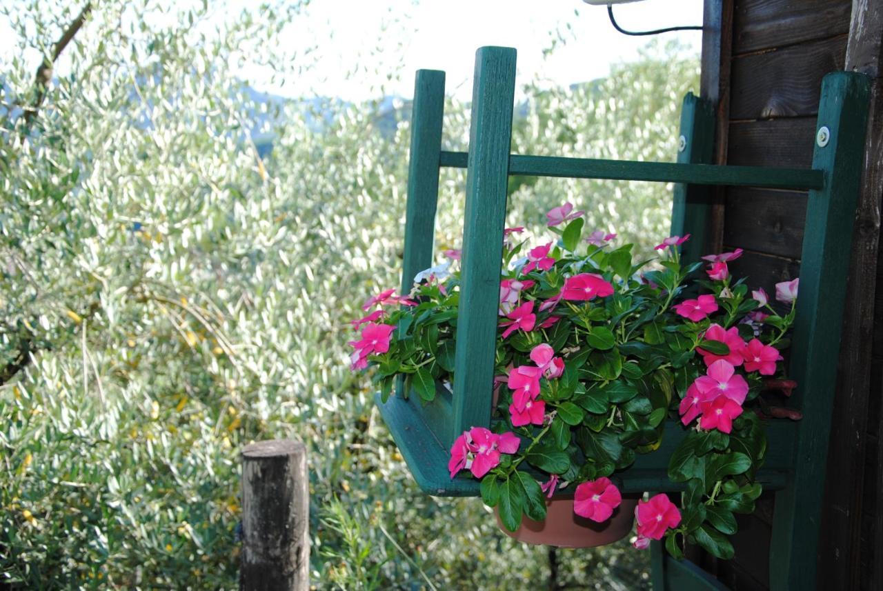 Agriturismo Tenuta La Fratta Guest House Bagni di Lucca Exterior photo