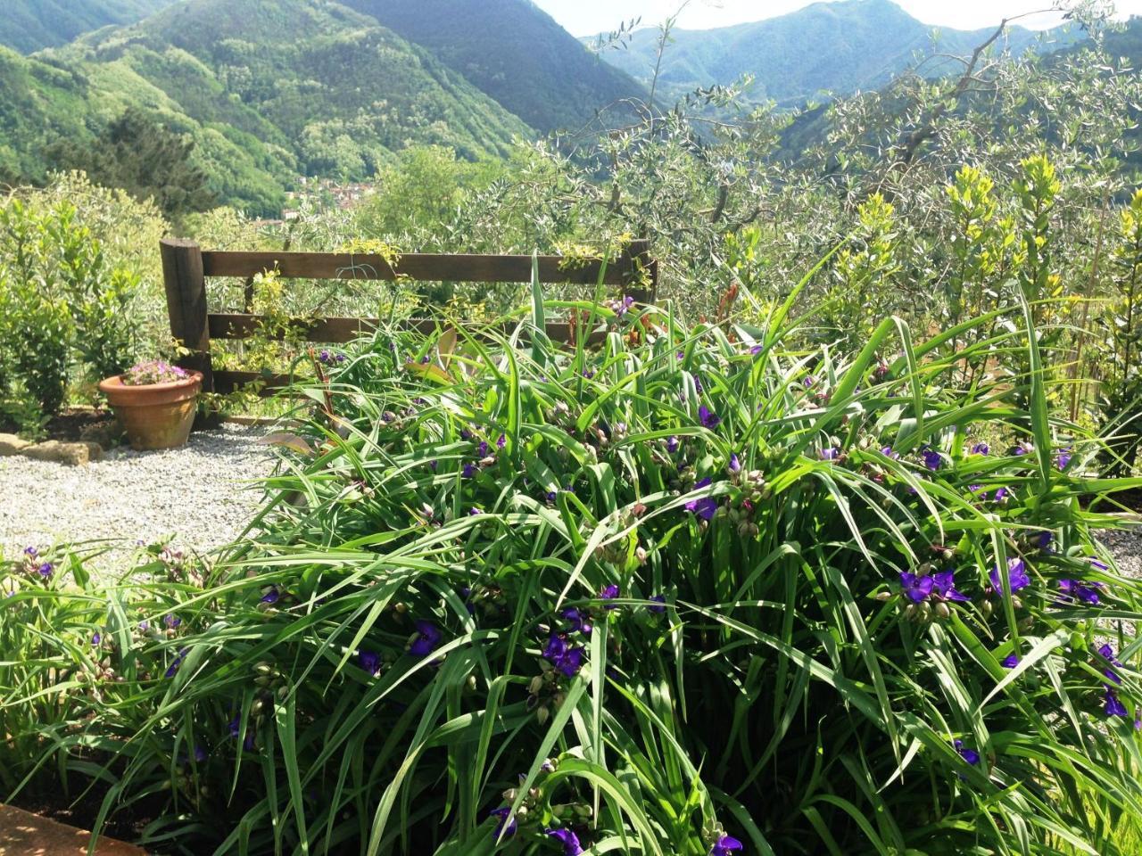 Agriturismo Tenuta La Fratta Guest House Bagni di Lucca Exterior photo